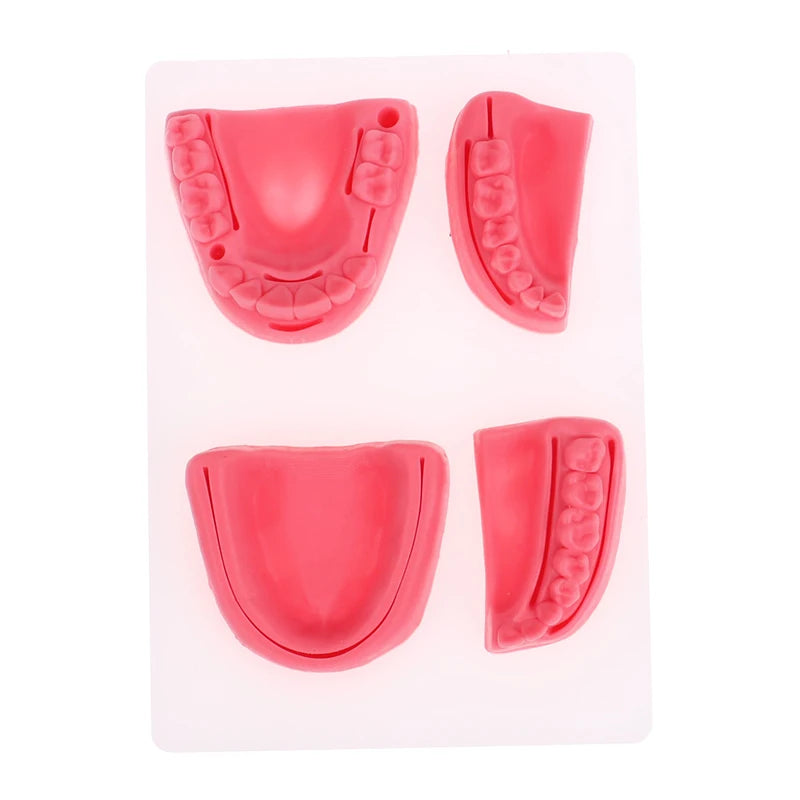 Kit 4pcs Modèles de Suture Buccale Simulation Dentaire – Formation et Entraînement en Suture Gingivale Ma boutique