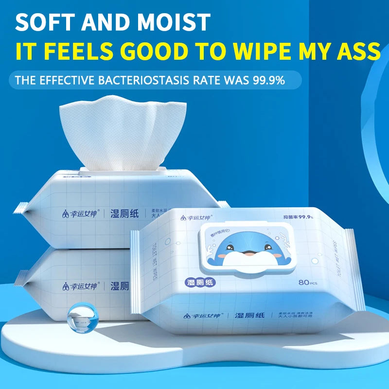 80pcs / 160pcs Wet Toilet Paper – Flushable Adult Hygiene Care Wipes - BLACKBEARD OUTDOOR INDUSTRIES