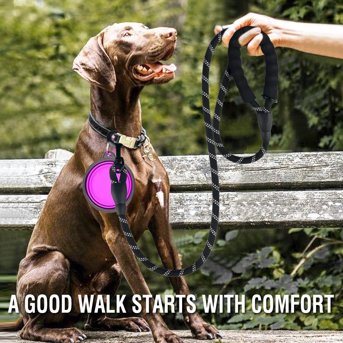 Laisse Réfléchissante Résistante pour Chien – Tous Gabarits | Anti-Traction & Sécurité Ma boutique