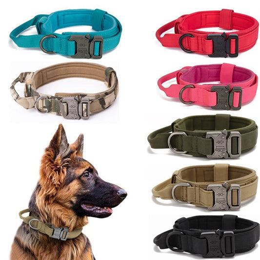 Ensemble Collier & Laisse pour Chien – Résistant, Réfléchissant et Confortable Ma boutique