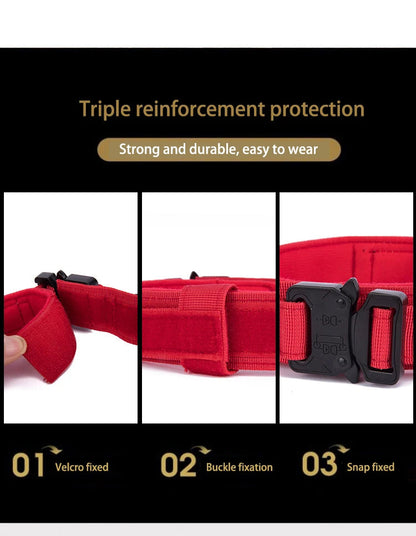Ensemble Collier & Laisse pour Chien – Résistant, Réfléchissant et Confortable Ma boutique