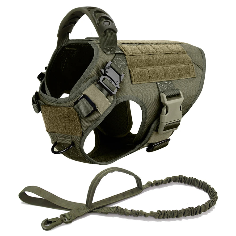 Harnais Tactique PETRAVEL pour Grand Chien – Ensemble Harnais + Collier + Laisse avec Système MOLLE Ma boutique