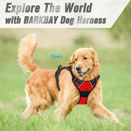 Ensemble Harnais, Collier et Laisse pour Chien – Design Élégant en Similicuir – Pour Chiens Petits et Moyens Ma boutique