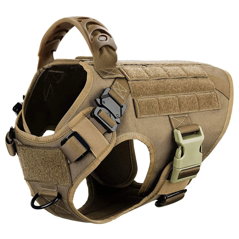Harnais Tactique PETRAVEL pour Grand Chien – Ensemble Harnais + Collier + Laisse avec Système MOLLE Ma boutique