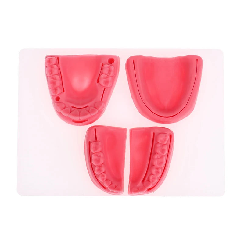 Kit 4pcs Modèles de Suture Buccale Simulation Dentaire – Formation et Entraînement en Suture Gingivale Ma boutique
