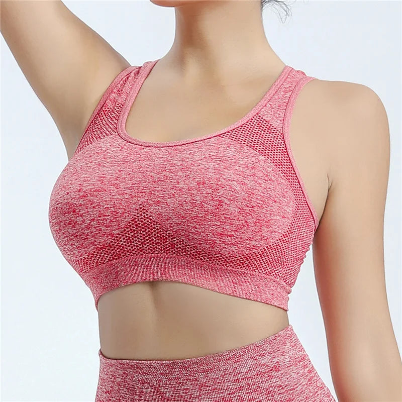 Brassière de Sport Femme – Push Up Respirante – Yoga, Fitness, Running – Débardeur de Sport Sans Armature - BLACKBEARD OUTDOOR INDUSTRIES