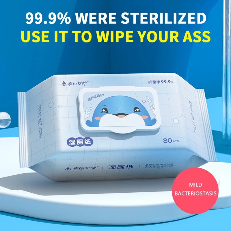 80pcs / 160pcs Wet Toilet Paper – Flushable Adult Hygiene Care Wipes - BLACKBEARD OUTDOOR INDUSTRIES