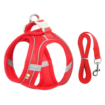 Ensemble Harnais et Laisse pour Petit Chien ou Chat – Harnais Réglable en Maille Respirante avec Liseré Réfléchissant Ma boutique