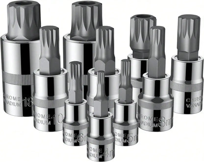Coffret 10 Pièces XZN Triple Square Spline Bit Socket – Embouts M4 à M18 avec Boîte de Rangement Renforcée - BLACKBEARD OUTDOOR INDUSTRIES