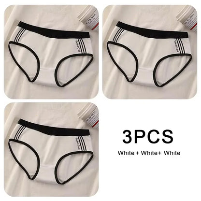 Lot de 3 Culottes Sans Coutures en Coton pour Femmes - Sous-vêtements à Taille Moyenne, Confortables et Idéales pour le Sport - BLACKBEARD OUTDOOR INDUSTRIES