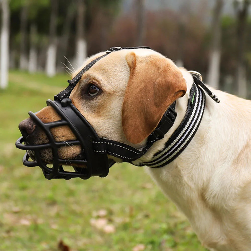 Muselière Souple Type Panier – Anti-Morsure et Anti-Mastication | Pour Labrador, Berger Allemand, Bouledogue Français Ma boutique