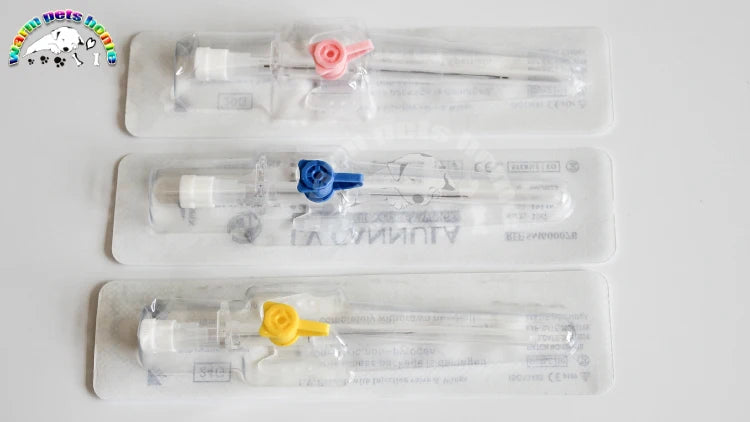 Canule Intraveineuse à Usage Unique avec Port d'Injection – 20G, 22G, 24G, Cathéter Papillon - BLACKBEARD OUTDOOR INDUSTRIES