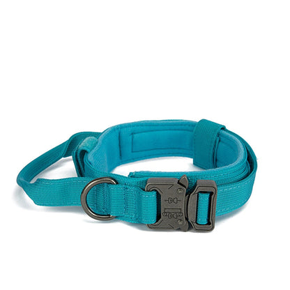 Ensemble Collier & Laisse pour Chien – Résistant, Réfléchissant et Confortable Ma boutique