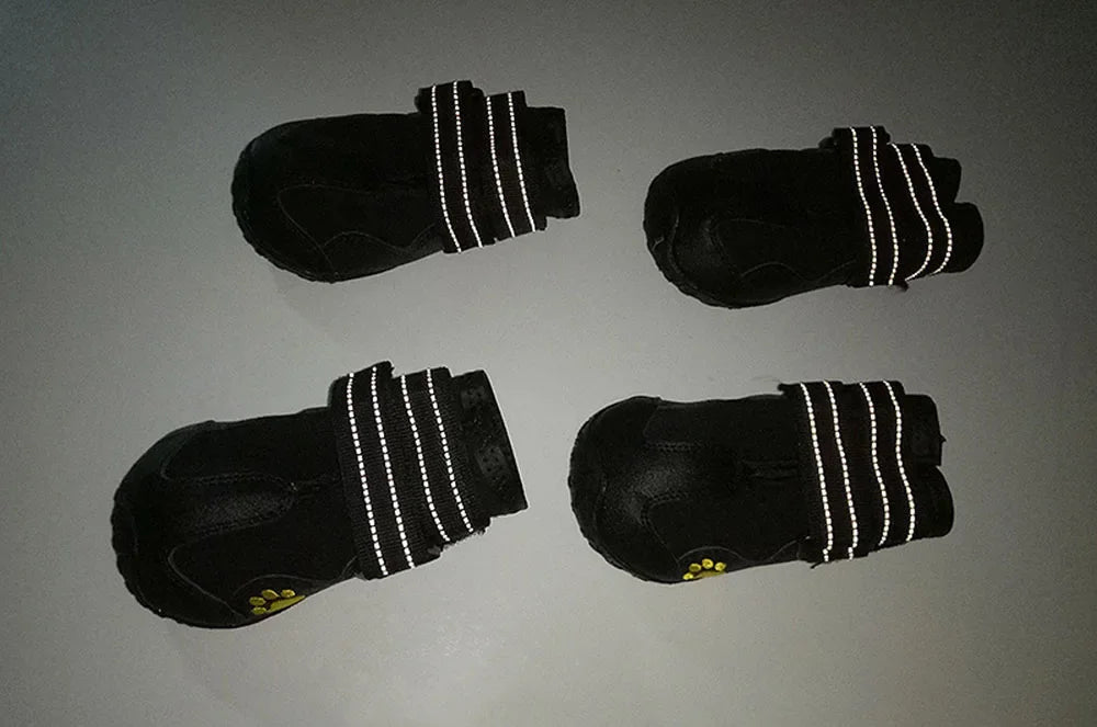 Chaussures pour Chien Imperméables – Antidérapantes | Protection Patte Été & Hiver (4 pièces) Ma boutique