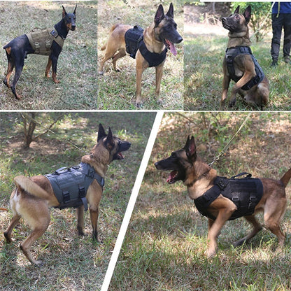 Harnais Tactique Militaire pour Chien – COOYOMOO Ma boutique