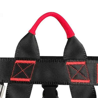 Harnais d’Escalade Outdoor – Protection Sécurité Demi-Corps avec Support Taille - BLACKBEARD OUTDOOR INDUSTRIES