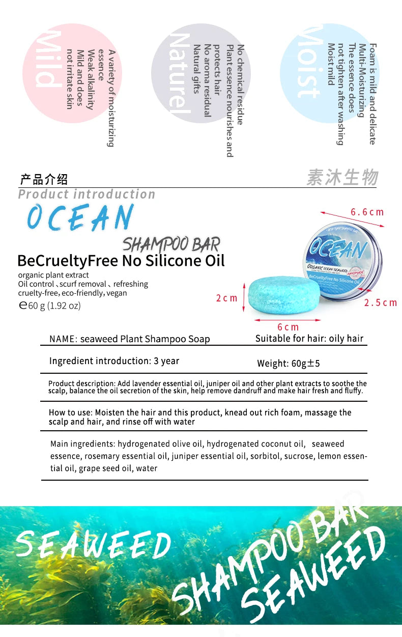 Shampooing Solide au Sel Marin – Parfum Océan Frais - BLACKBEARD OUTDOOR INDUSTRIES