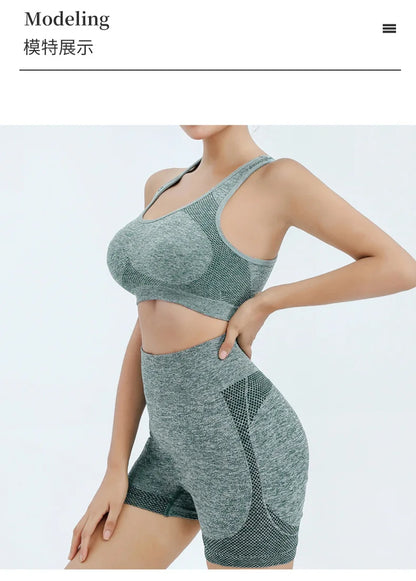 Brassière de Sport Femme – Push Up Respirante – Yoga, Fitness, Running – Débardeur de Sport Sans Armature - BLACKBEARD OUTDOOR INDUSTRIES