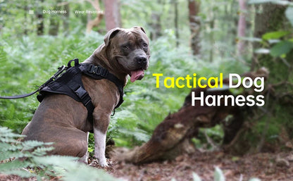 Harnais Tactique Militaire pour Chien – COOYOMOO Ma boutique