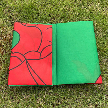 Drapeau du Pays de Galles (Wales) – 90x150 cm – Polyester – Drapeau du Dragon Rouge BLACKBEARD OUTDOOR INDUSTRIES