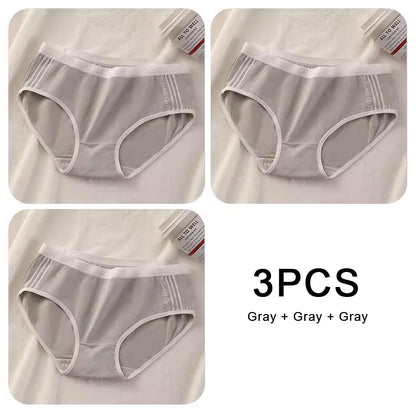 Lot de 3 Culottes Sans Coutures en Coton pour Femmes - Sous-vêtements à Taille Moyenne, Confortables et Idéales pour le Sport - BLACKBEARD OUTDOOR INDUSTRIES
