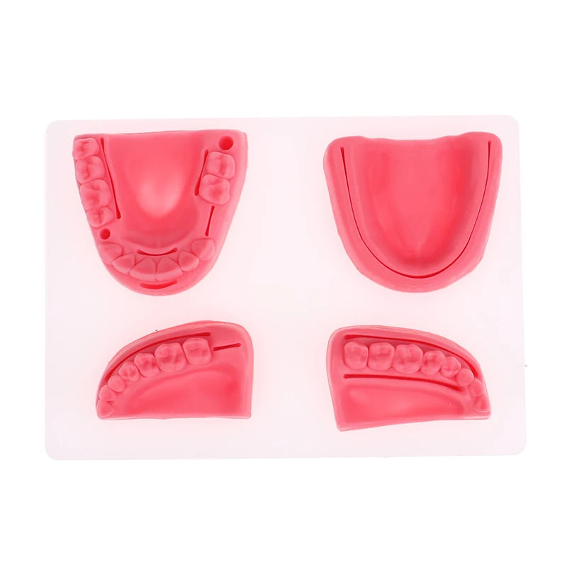 Kit 4pcs Modèles de Suture Buccale Simulation Dentaire – Formation et Entraînement en Suture Gingivale Ma boutique