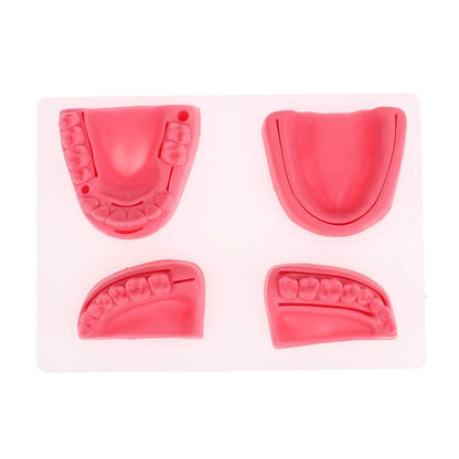 Kit 4pcs Modèles de Suture Buccale Simulation Dentaire – Formation et Entraînement en Suture Gingivale Ma boutique