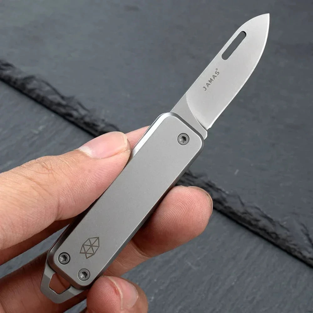 Mini Couteau Pliant Mini Multifonctionnel – Haute Dureté, Acier Inoxydable, Portable, pour Camping, Usage Domestique et EDC - BLACKBEARD OUTDOOR INDUSTRIES