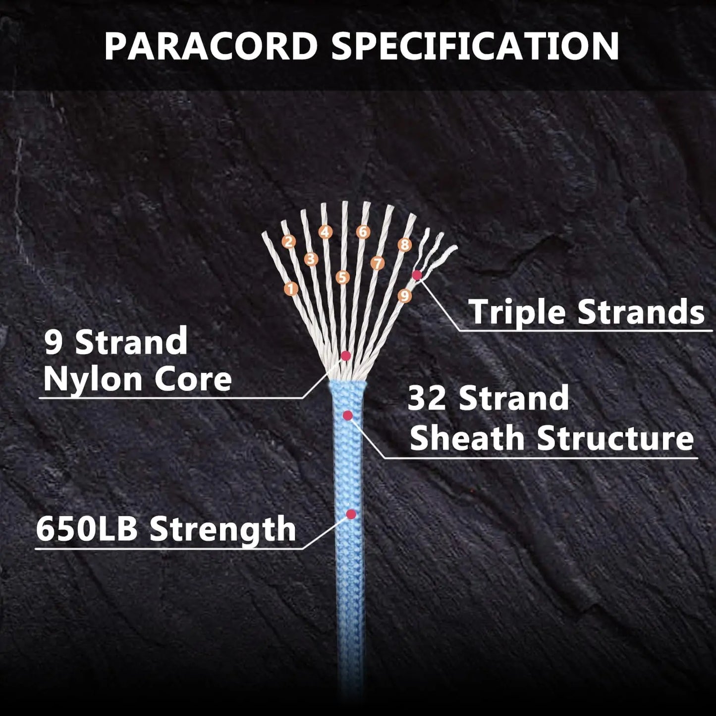 Corde Paracorde 9 Brins – 650 lb – Diamètre 4 mm – 5/15/31 mètres - BLACKBEARD OUTDOOR INDUSTRIES