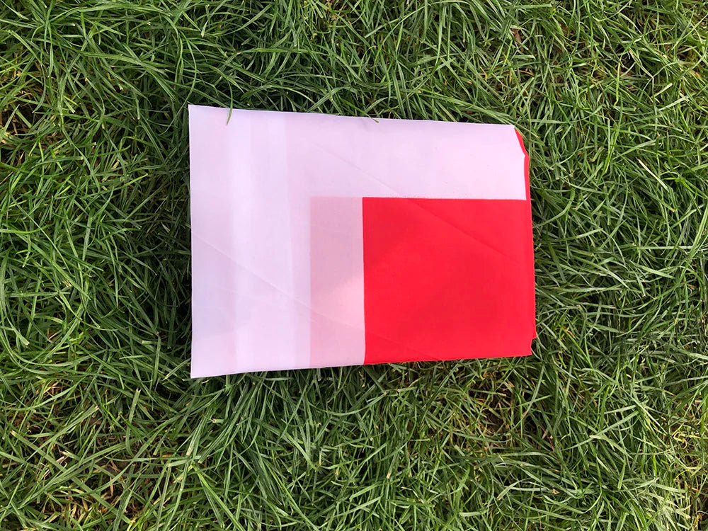 Drapeau de la Suisse - 90x150 cm - Polyester - Drapeau Suspendu pour Décoration BLACKBEARD OUTDOOR INDUSTRIES