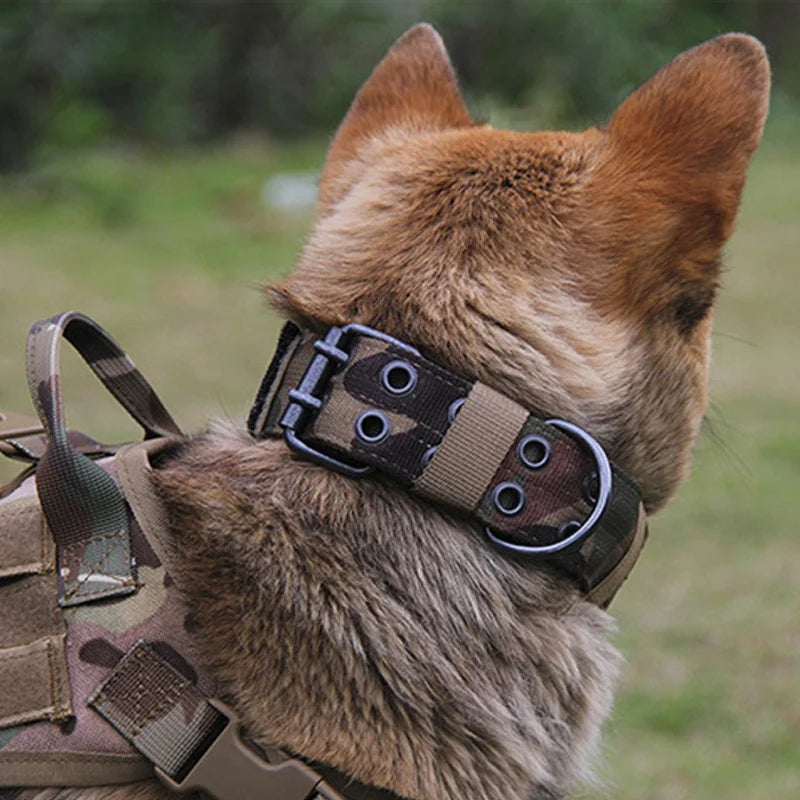 Collier Tactique Réglable pour Chien – Militaire, Entraînement & Sécurité | Nylon Résistant Ma boutique