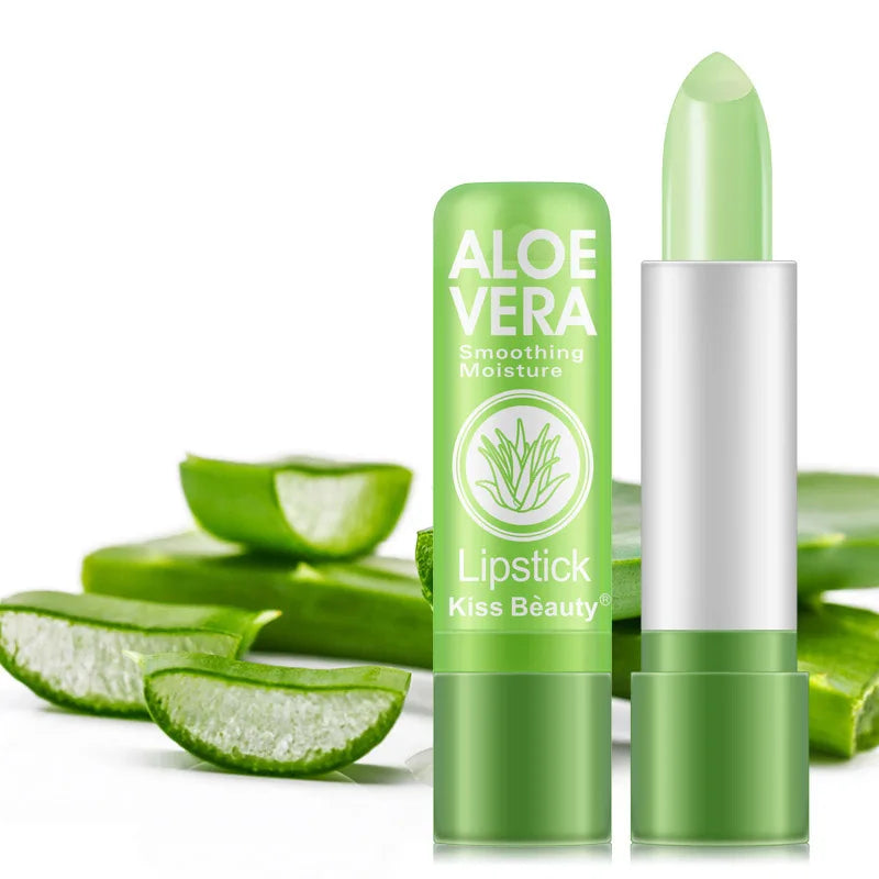 Lot de 12 Baumes à Lèvres Teintés – Aloe Vera & Huiles Naturelles - BLACKBEARD OUTDOOR INDUSTRIES
