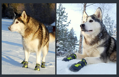 Bottes d’Hiver Antidérapantes pour Chiens – Truelove Ma boutique