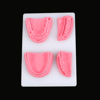 Kit 4pcs Modèles de Suture Buccale Simulation Dentaire – Formation et Entraînement en Suture Gingivale Ma boutique