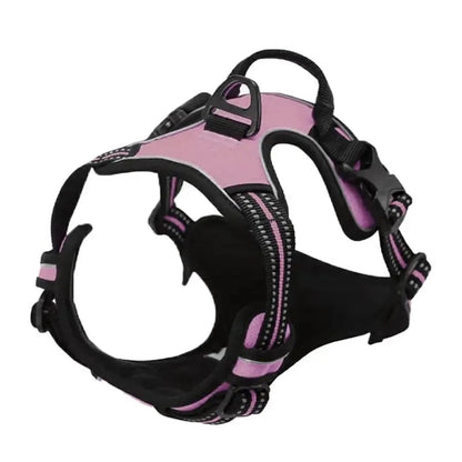 Ensemble Harnais, Collier et Laisse pour Chien – Design Élégant en Similicuir – Pour Chiens Petits et Moyens Ma boutique