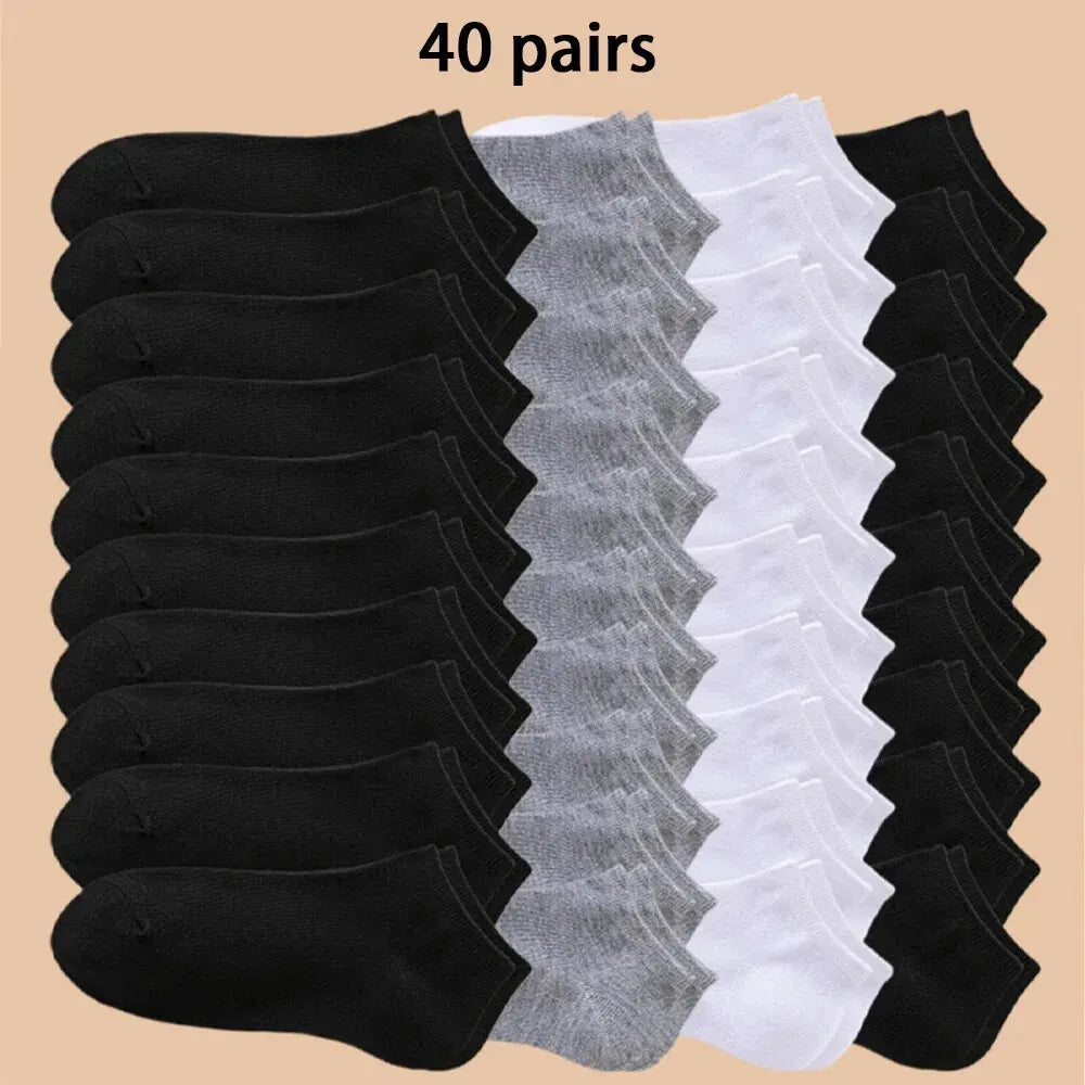 Lot de 10/20/40 Paires de Chaussettes Basses Unisexes – Couleurs Unies – Douces, Légères et Respirantes - BLACKBEARD OUTDOOR INDUSTRIES