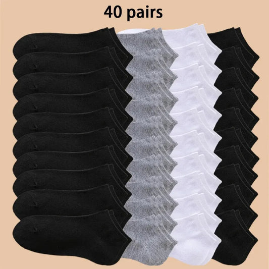 Lot de 10/20/40 Paires de Chaussettes Basses Unisexes – Couleurs Unies – Douces, Légères et Respirantes - BLACKBEARD OUTDOOR INDUSTRIES