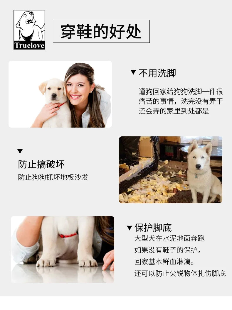 Bottes d’Hiver Antidérapantes pour Chiens – Truelove Ma boutique