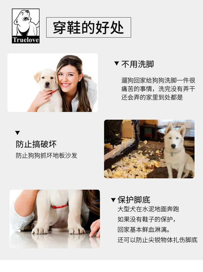 Bottes d’Hiver Antidérapantes pour Chiens – Truelove Ma boutique