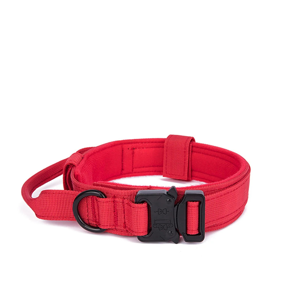 Ensemble Collier & Laisse pour Chien – Résistant, Réfléchissant et Confortable Ma boutique