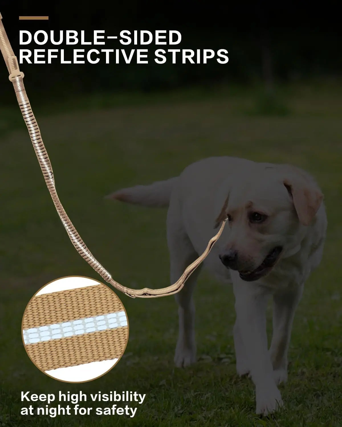 Laisse Tactique Élastique Réfléchissante avec Amortisseur de Chocs et Ceinture de Sécurité – Spécial Grands Chiens Ma boutique