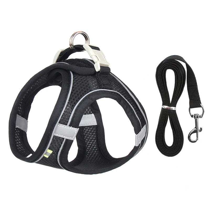 Ensemble Harnais et Laisse pour Petit Chien ou Chat – Harnais Réglable en Maille Respirante avec Liseré Réfléchissant Ma boutique