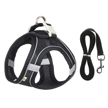 Ensemble Harnais et Laisse pour Petit Chien ou Chat – Harnais Réglable en Maille Respirante avec Liseré Réfléchissant Ma boutique