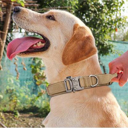 Ensemble Collier & Laisse pour Chien – Résistant, Réfléchissant et Confortable Ma boutique