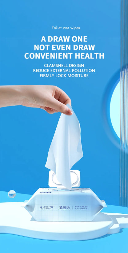 80pcs / 160pcs Wet Toilet Paper – Flushable Adult Hygiene Care Wipes - BLACKBEARD OUTDOOR INDUSTRIES