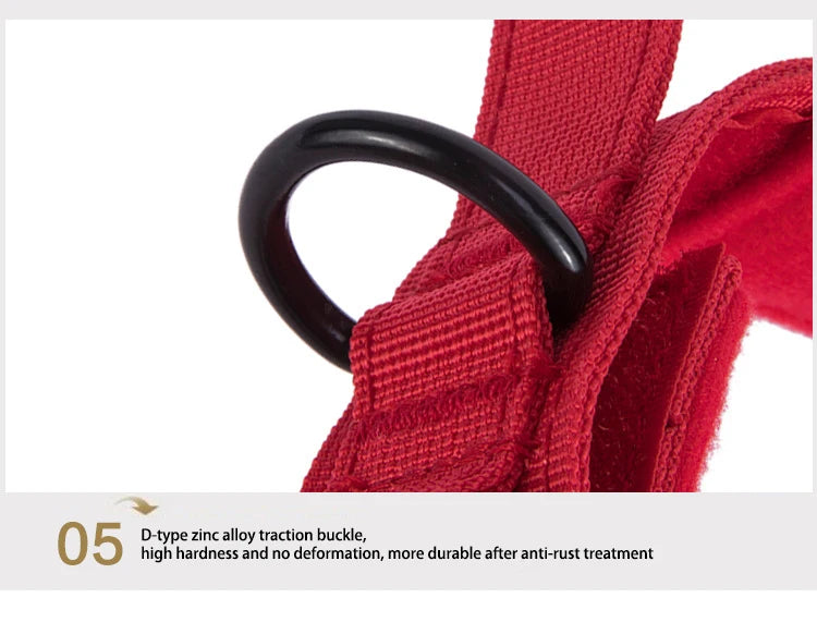 Ensemble Collier & Laisse pour Chien – Résistant, Réfléchissant et Confortable Ma boutique