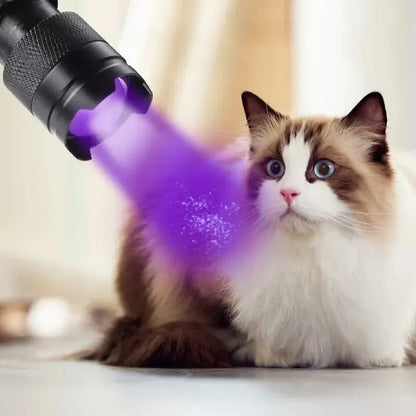 Lampe Torche UV LED 395nm / 365nm – Ultra-Violet Mini | Zoom Réglable | Détecteur de Taches d’Urine, Inspection, Détection de Fuites Ma boutique