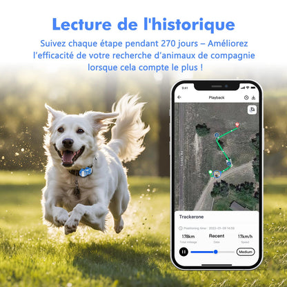Traceur GPS 4G pour Chien & Chat – Étanche, Localisation en Temps Réel, Son/Lumière, Application Mobile Incluse Ma boutique