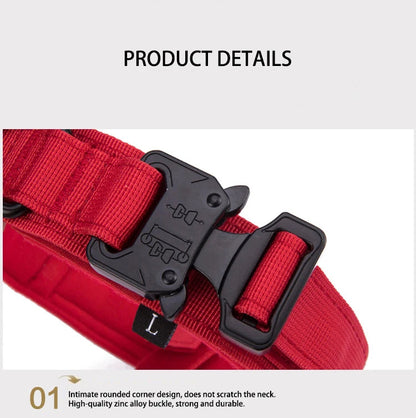 Ensemble Collier & Laisse pour Chien – Résistant, Réfléchissant et Confortable Ma boutique