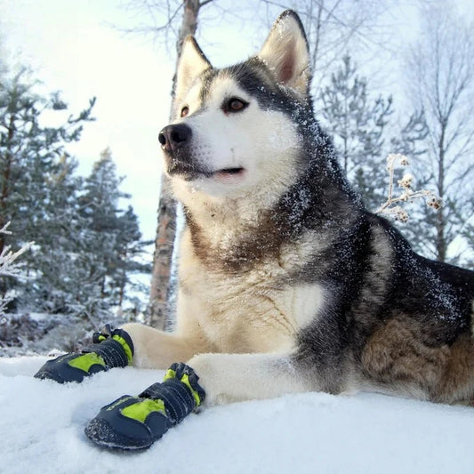 Bottes d’Hiver Antidérapantes pour Chiens – Truelove Ma boutique